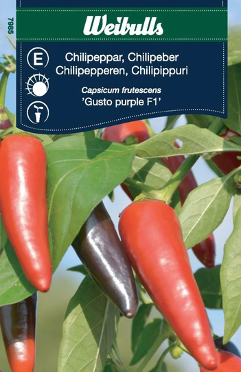 Weibulls Chilipeppar Gusto Purple F1