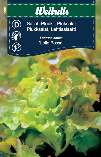 Weibulls Plocksallat Lollo Rossa