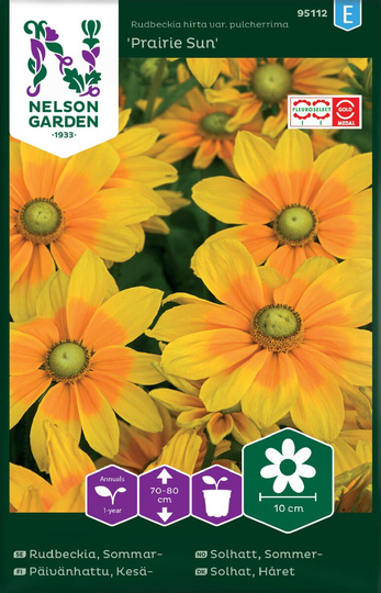 Nelson Garden Rudbeckia Sommar Praire Sun