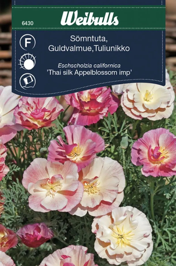 Weibulls Sömntuta
